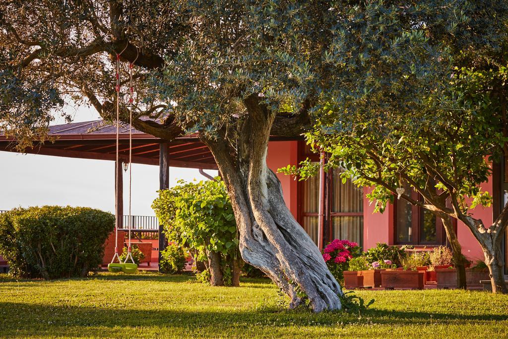 Palombara Sabina Villa La Tartaruga Sabina المظهر الخارجي الصورة