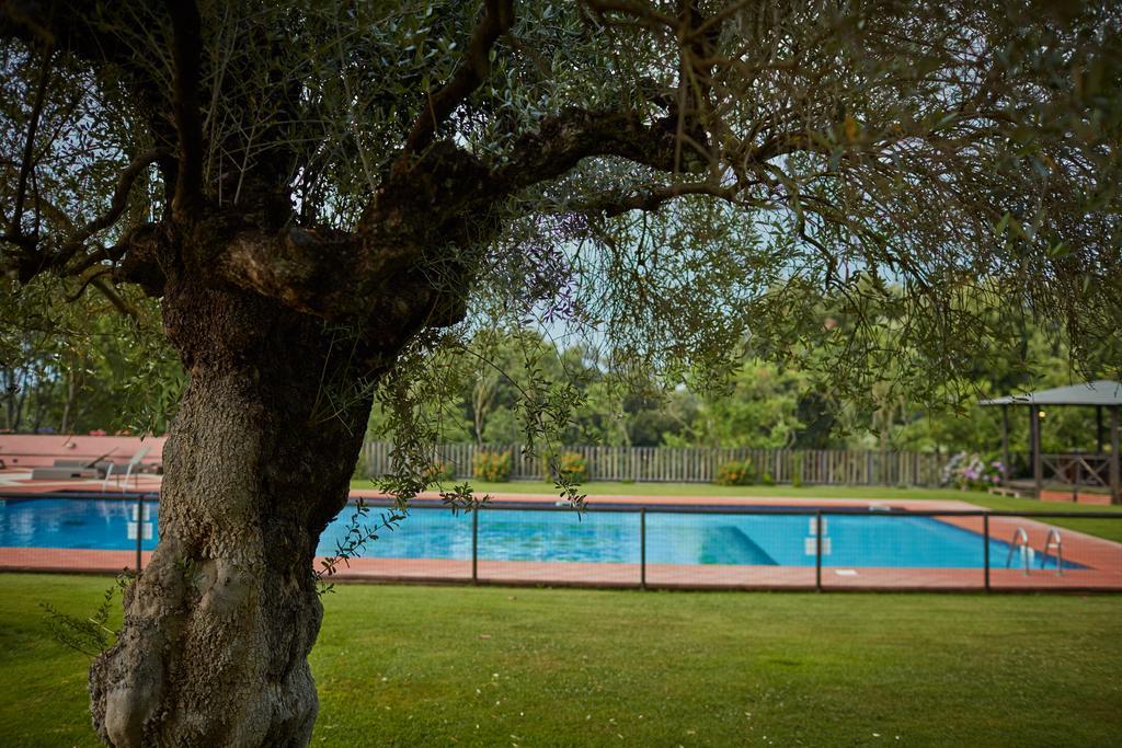 Palombara Sabina Villa La Tartaruga Sabina المظهر الخارجي الصورة